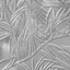 Fusarium graminearum PH-1 (GCA_000240135)