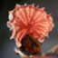 Moniliophthora perniciosa FA553 (GCA_000183025)